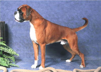 03-presco-Hertenrode