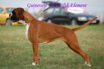 34-Guinevere-The-Fifth-Element